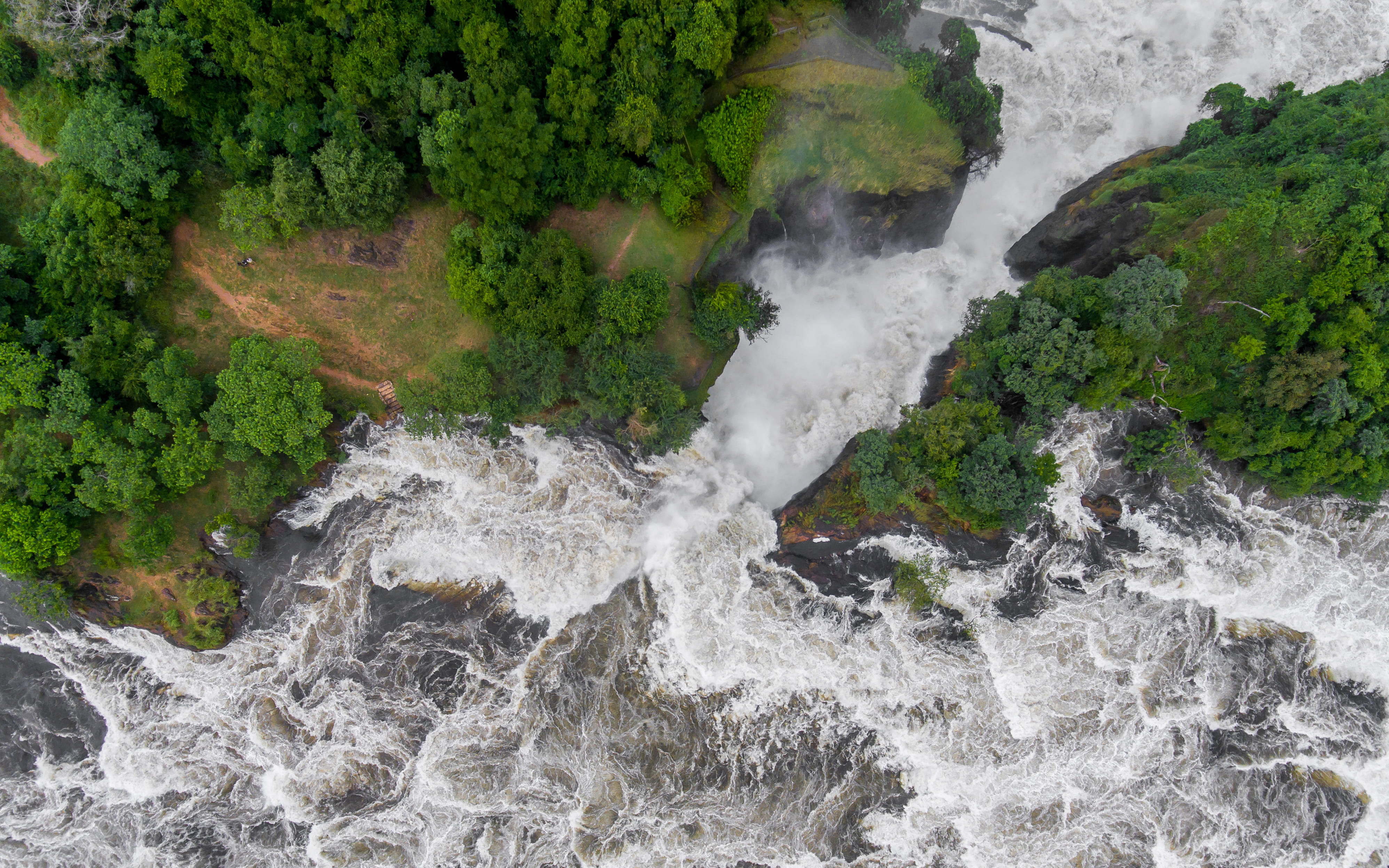 Discover Uganda's Wild Heart